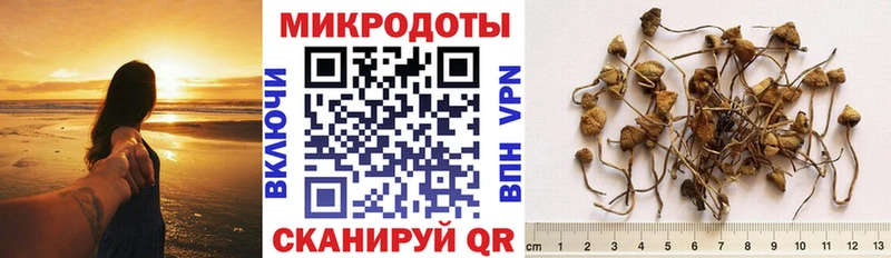 Галлюциногенные грибы мицелий  Купить закладки  Бийск 